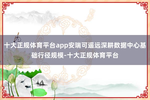 十大正规体育平台app安瑞可遥远深耕数据中心基础行径规模-十大正规体育平台