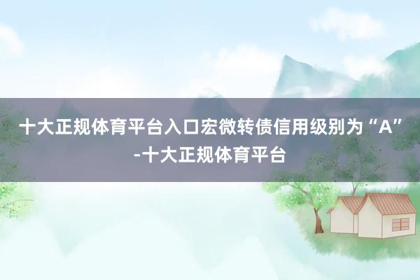 十大正规体育平台入口宏微转债信用级别为“A”-十大正规体育平台
