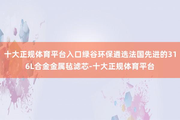 十大正规体育平台入口绿谷环保遴选法国先进的316L合金金属毡滤芯-十大正规体育平台