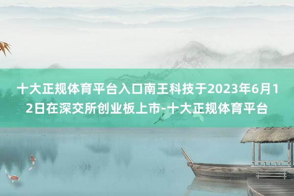 十大正规体育平台入口南王科技于2023年6月12日在深交所创业板上市-十大正规体育平台